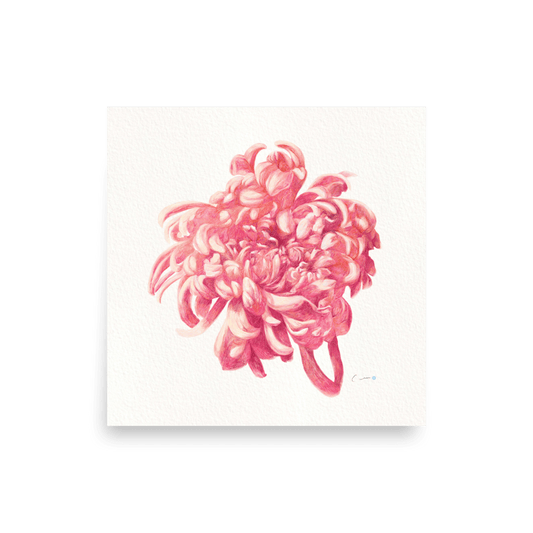 Art Print "A chrysanthemum", 10"x10", 12"x12", 14"x14", 18"x18", print only - PastelWhisper