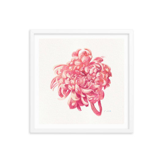 Calm's Drawing : "A chrysanthemum" Framed poster, Flowers 18" X 18" - PastelWhisper
